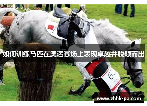 如何训练马匹在奥运赛场上表现卓越并脱颖而出