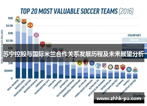 苏宁控股与国际米兰合作关系发展历程及未来展望分析
