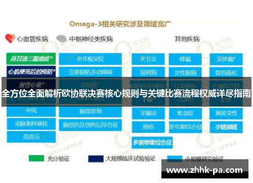 全方位全面解析欧协联决赛核心规则与关键比赛流程权威详尽指南