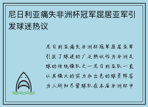 尼日利亚痛失非洲杯冠军屈居亚军引发球迷热议